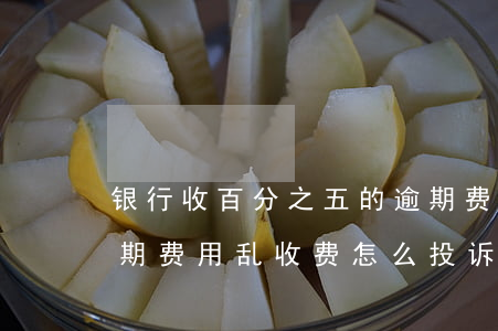 银行收百分之五的逾期费怎么投诉-银行逾期费用乱收费,怎么投诉