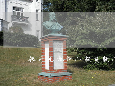 银行无抵押小额贷款(小额无抵押信贷)