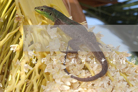 银行有逾期可以申请信用卡吗知乎