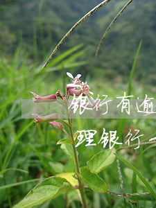 银行有逾期能不能办信用卡(信用卡逾期能办理银行卡吗)
