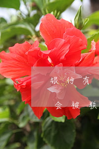 银行有集体诉讼逾期的吗 多家银行逾期会不会被联合起诉