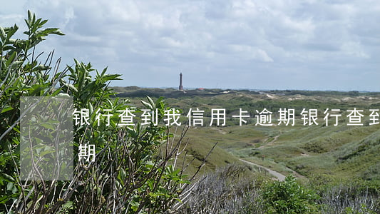 银行查到我信用卡逾期(银行查到我信用卡逾期)
