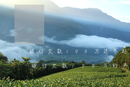 银行欠款100万还不起后果如何，逾期未还！银行欠款100万的严重后果是什么？