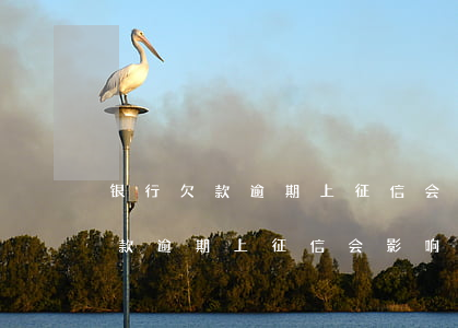 银行欠款逾期上征信会影响亲人吗-银行欠款逾期上征信会影响亲人吗知乎