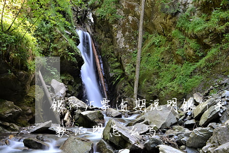 银行汇票逾期说明 银行承兑汇票逾期提示付款证明怎么写