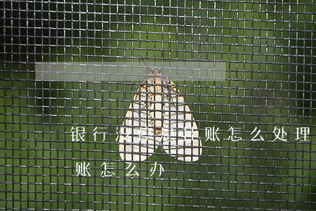 银行没停息挂账怎么处理(银行说没有停息挂账怎么办)