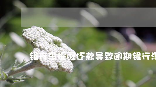 银行没提醒还款导致逾期(银行 没有提醒 逾期)