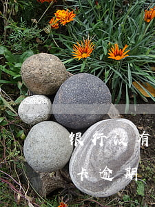 银行没有发账单导致信用卡逾期(欠银行信用卡逾期)