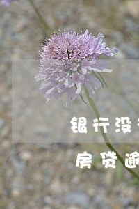 银行没有通知还房贷逾期(银行不提醒造成的房贷逾期)