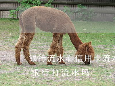 银行流水看信用卡流水吗（信用卡逾期可以去银行打流水吗）