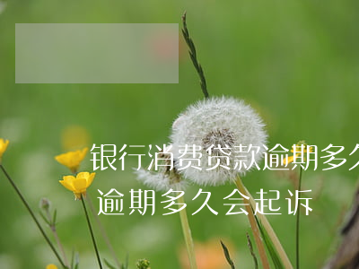 银行消费贷款逾期多久会被起诉（招行消费贷逾期多久会起诉）