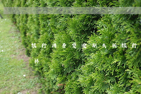 银行消费贷逾期失联 银行消费贷逾期会怎么样