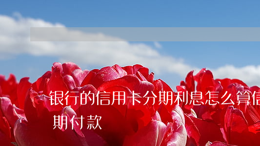银行的信用卡分期利息怎么算（信用卡利息分期付款）