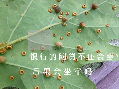 银行的网贷不还会坐牢吗(网贷不还最严重的后果会坐牢吗?)