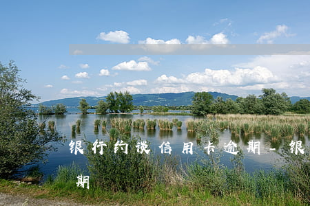 银行约谈信用卡逾期-银行打电话信用卡逾期