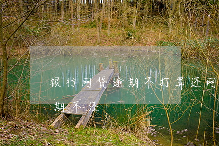 银行网贷逾期不打算还(网贷放款方是银行逾期不还)