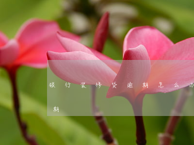 银行装修贷逾期怎么办（建设信用卡装修贷逾期）