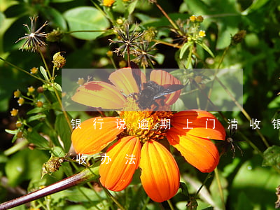 银行说逾期上门清收(银行对于逾期客户的清收办法)