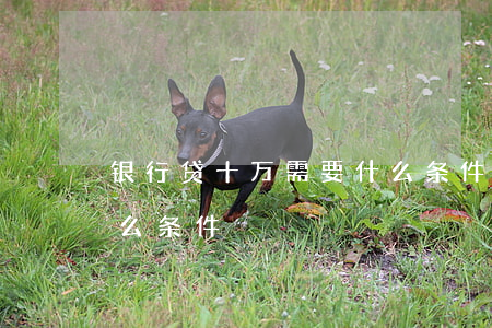 银行贷十万需要什么条件(银行贷款十万要什么条件)
