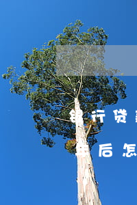 银行贷款10年逾期(从银行贷款逾期10几年后怎么办)