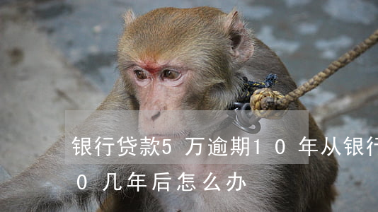 银行贷款5万逾期10年(从银行贷款逾期10几年后怎么办)