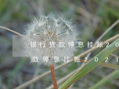 银行贷款停息挂账2021新规定-银行贷款停息挂账2021新规定是什么