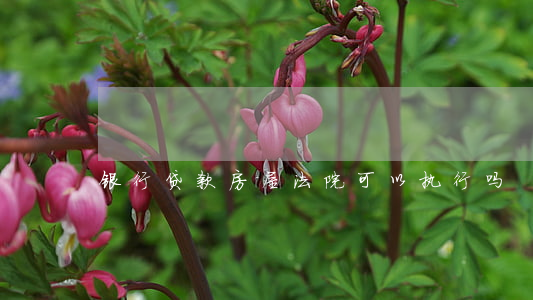 银行贷款房屋法院可以执行吗