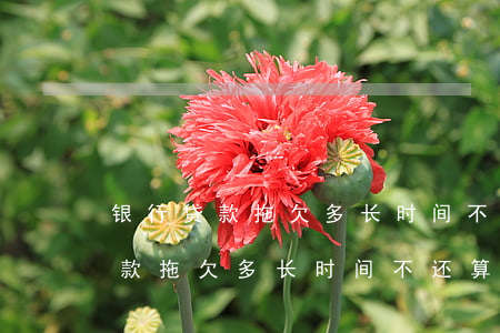银行贷款拖欠多长时间不还算逾期-银行贷款拖欠多长时间不还算逾期了