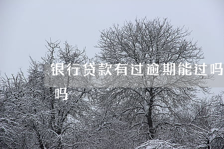 银行贷款有过逾期能过吗(银行逾期还能贷款吗)