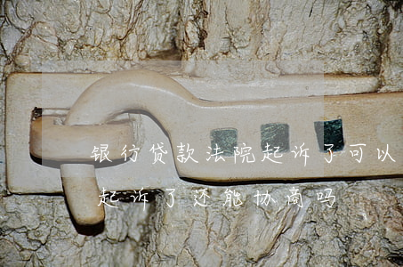 银行贷款法院起诉了可以协商吗(贷款被银行起诉了还能协商吗)