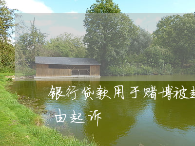 银行贷款用于赌博被起诉(赌债以民间借贷为由起诉)
