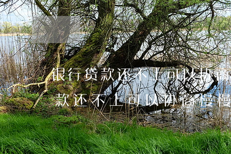 银行贷款还不上可以协商慢慢还吗-银行贷款还不上可以协商慢慢还吗怎么办