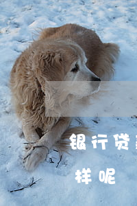 银行贷款还不起会怎样(银行贷款还不起会怎样呢)