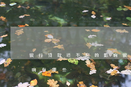 银行贷款还不起的影响(银行贷款还不起的影响有哪些)