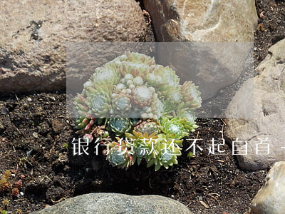 银行贷款还不起自首-银行贷款还不起自首