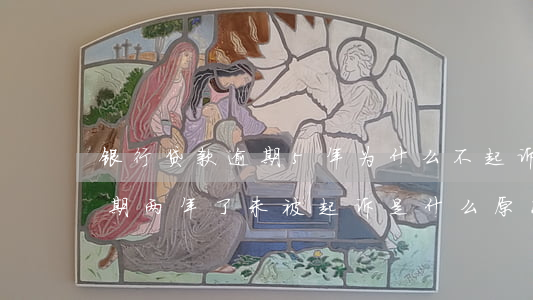 银行贷款逾期5年为什么不起诉(银行贷款逾期两年了未被起诉是什么原因)