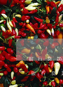 银行贷款逾期七天有后果吗（逾期有7还能做银行贷款吗）