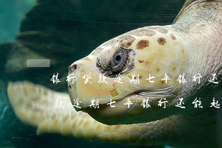 银行贷款逾期七年,银行还能起诉吗-银行贷款逾期七年,银行还能起诉吗怎么办