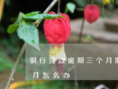 银行贷款逾期三个月报警(银行房贷逾期三个月怎么办)