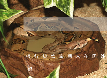 银行贷款逾期人在国外(欠银行贷款可以出国吗)