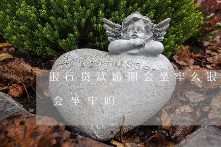 银行贷款逾期会坐牢么(银行贷款逾期被起诉会坐牢吗)