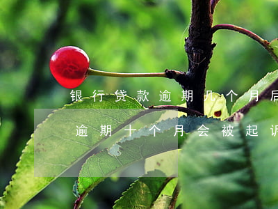 银行贷款逾期几个月后银行会起诉?（银行贷款逾期十个月会被起诉吗）