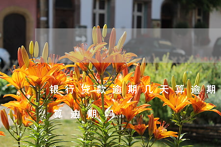 银行贷款逾期几天算逾期(银行贷款逾期三天算逾期吗?)
