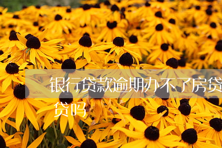 银行贷款逾期办不了房贷(银行有逾期能办房贷吗)