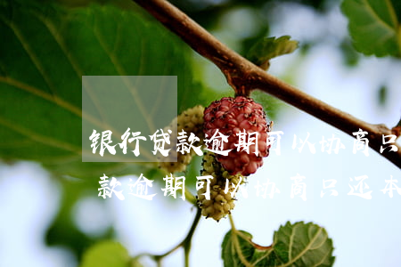 银行贷款逾期可以协商只还本金吗-银行贷款逾期可以协商只还本金吗?