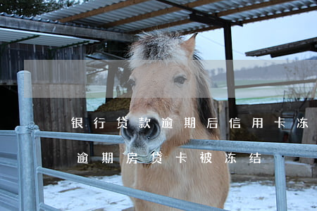 银行贷款逾期后信用卡冻结了怎么办（信用卡逾期房贷卡被冻结）