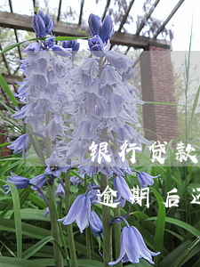 银行贷款逾期后信用卡还能用吗（银行信用卡逾期后还款还可以吗）