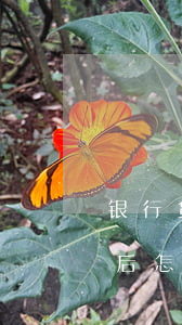 银行贷款逾期后怎么还款(银行贷款逾期还款后怎样消除)