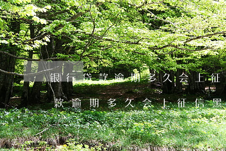银行贷款逾期多久会上征信黑名单-银行贷款逾期多久会上征信黑名单呢