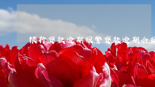 银行贷款逾期报警(贷款逾期会报警吗)
